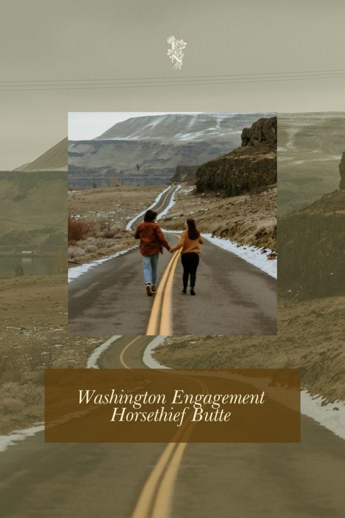 Washington engagement photo