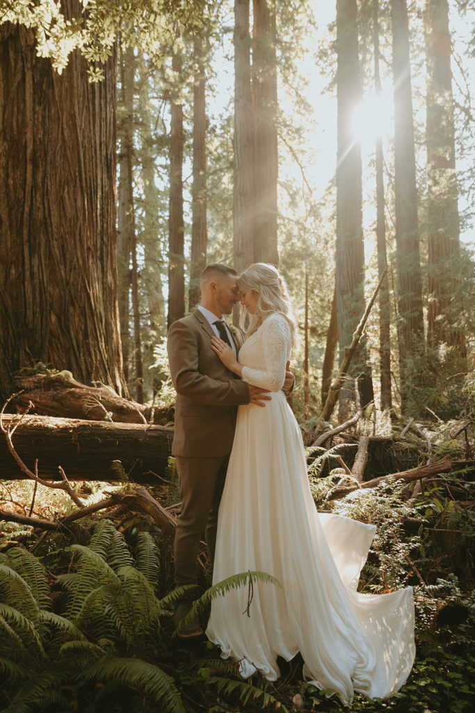 Oregon elopement photos in redwoods