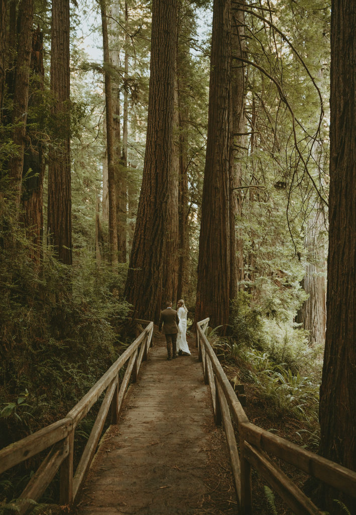 Redwoods elopement photographer