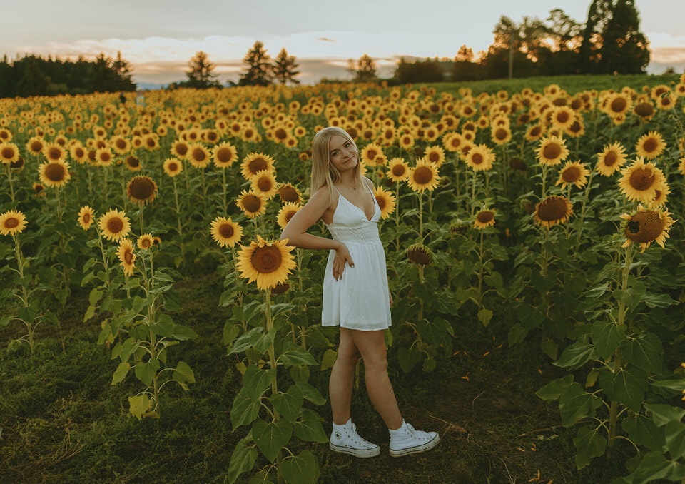 Oregon sunflower field