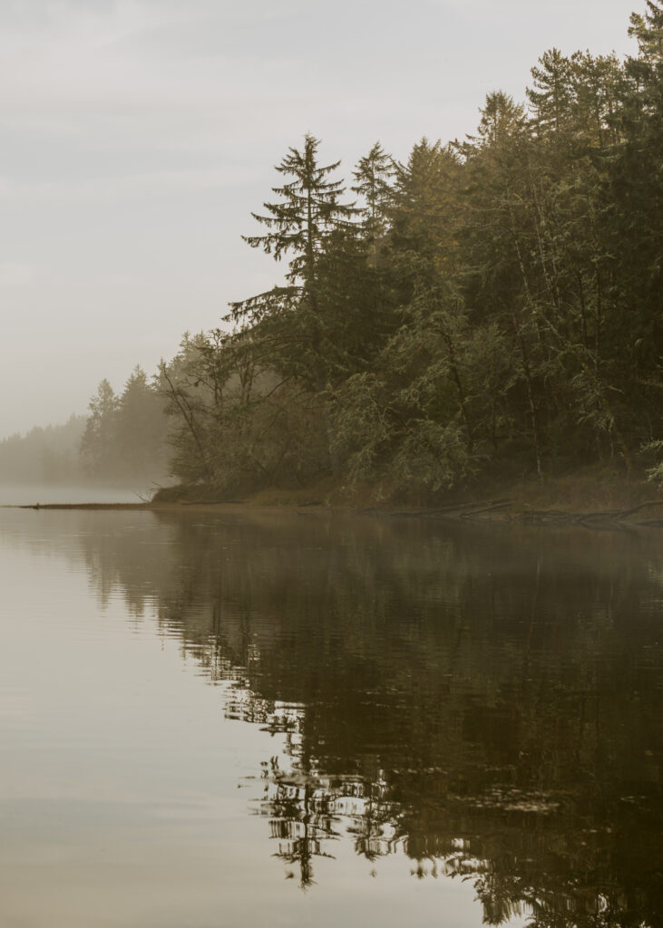 Serene foggy lake surrounded by the trees