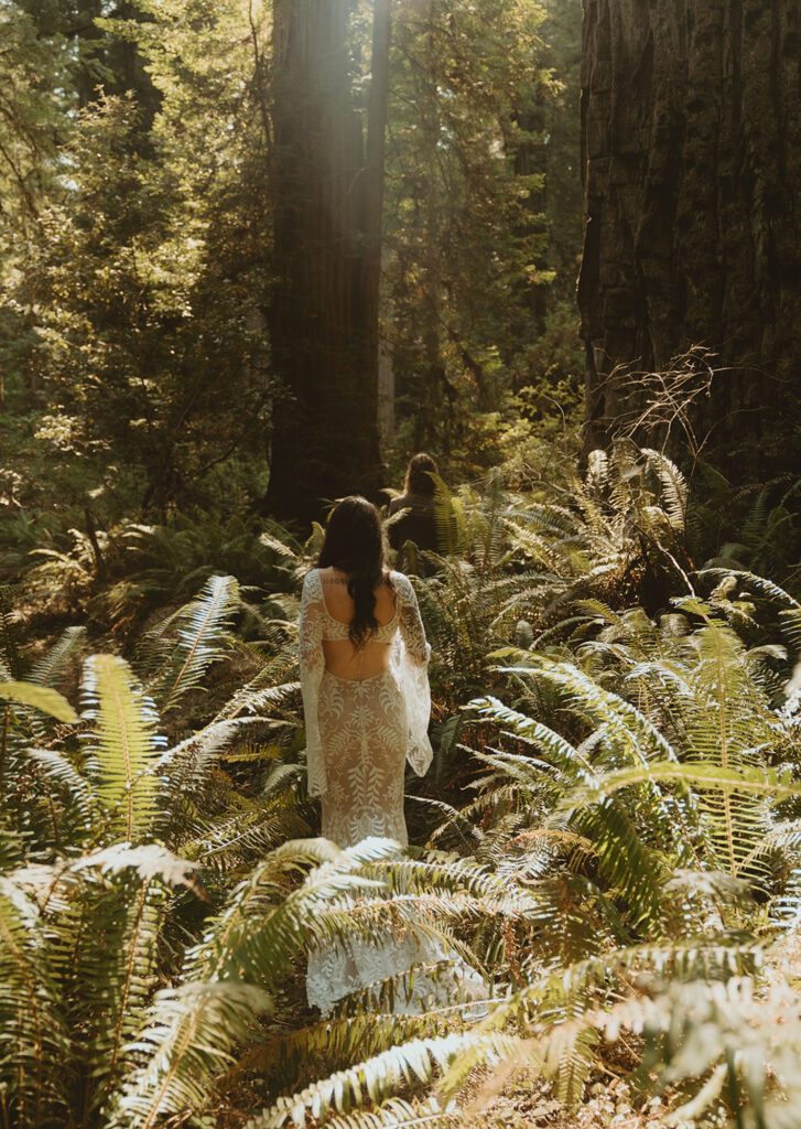 bride in a long, lace, open-back dress walks through a lush forest filled with tall trees and abundant ferns