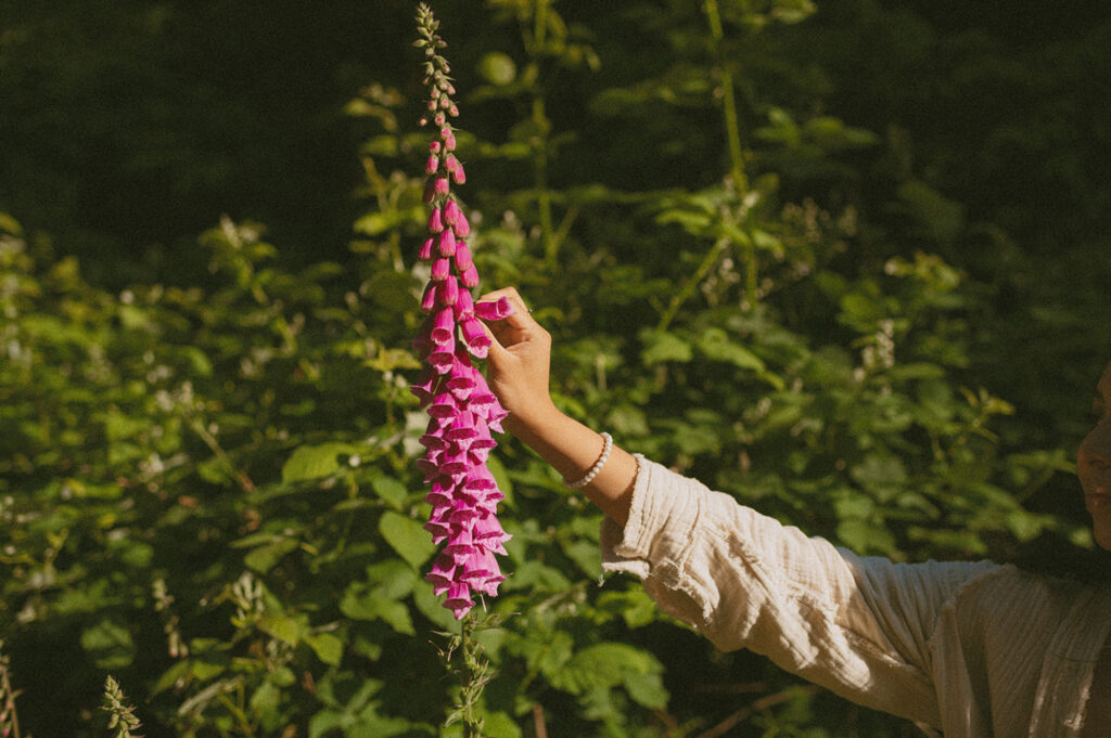 Person's arm extends towards a tall stalk of vibrant pink flowers in a lush green forest, gently touching the petals