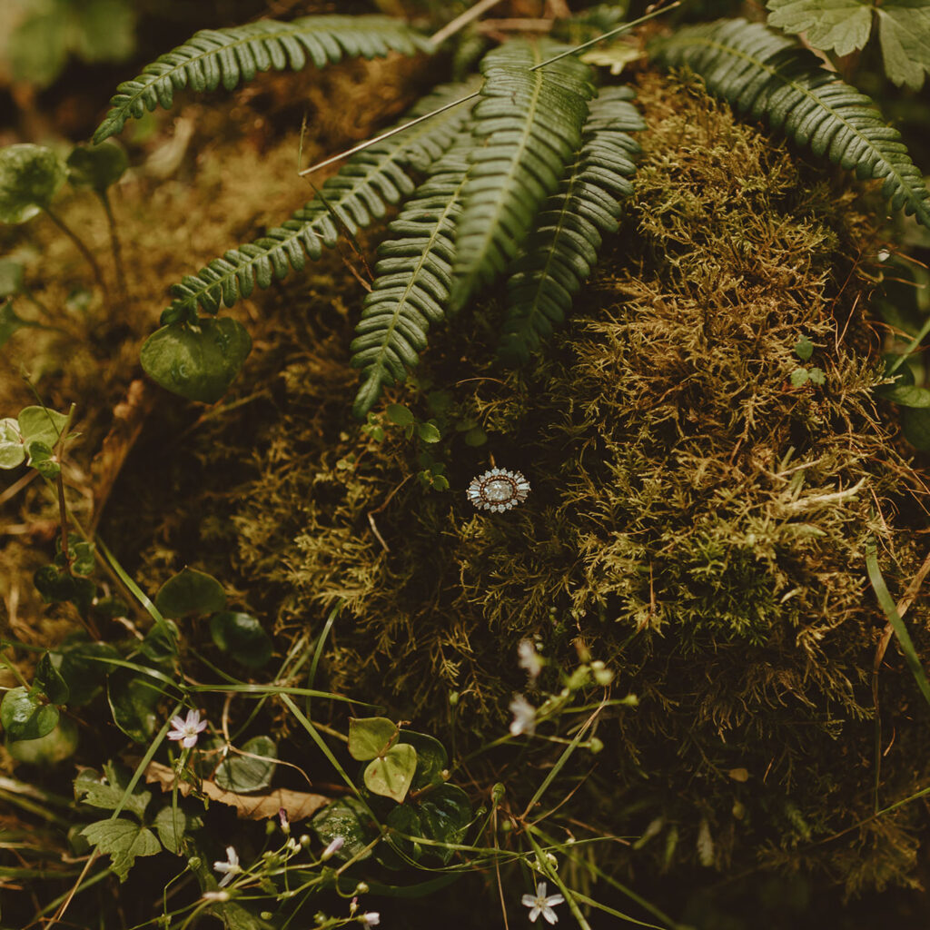 Engagement ring on a bed of moss and ferns in a natural setting