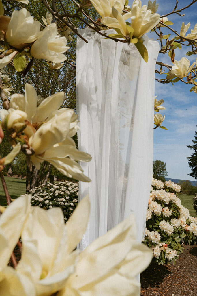 Veil hanging from a tree with yellow flowers in the background.