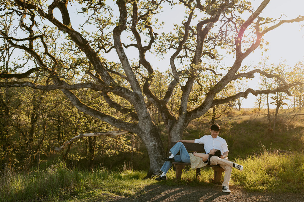Couple relaxing on a bench under a large tree at sunset