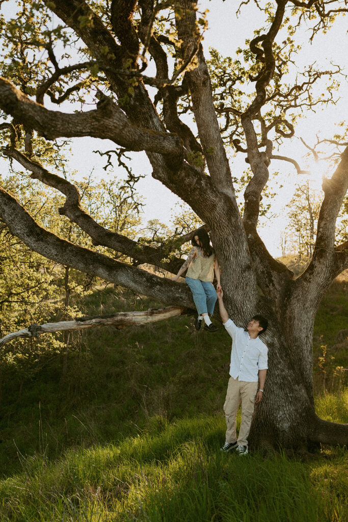 Woman sitting on a tree branch reaching down to her partner