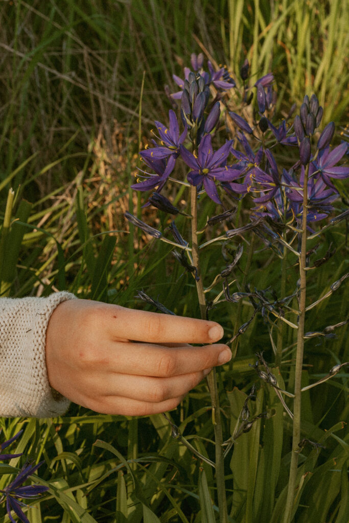 Hands of a girl holding the flower