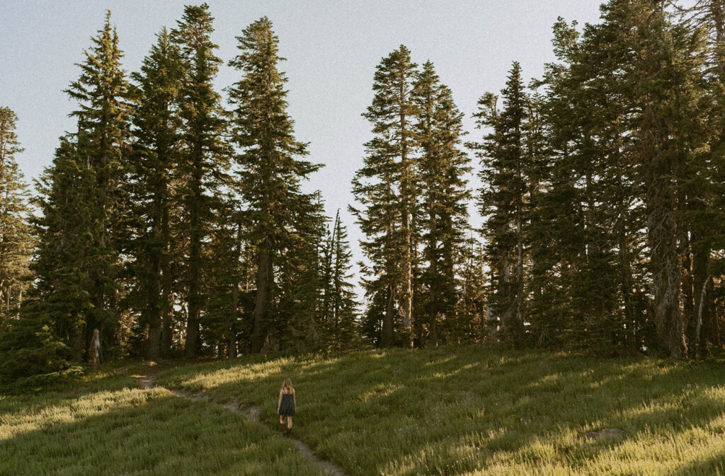 A person is walking down a path in the woods