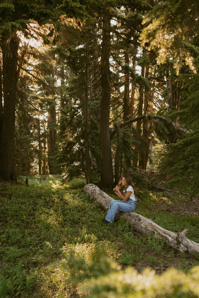 A woman is sitting on a log in the middle of a forest.