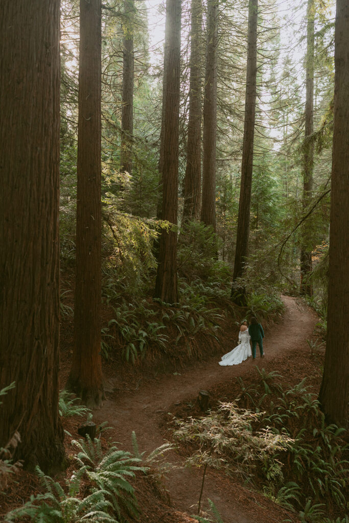 Couple walks hand-in-hand down a trail surrounded by tall trees