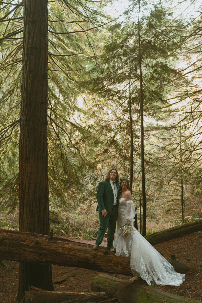 Couple stands on a fallen log in a redwood forest