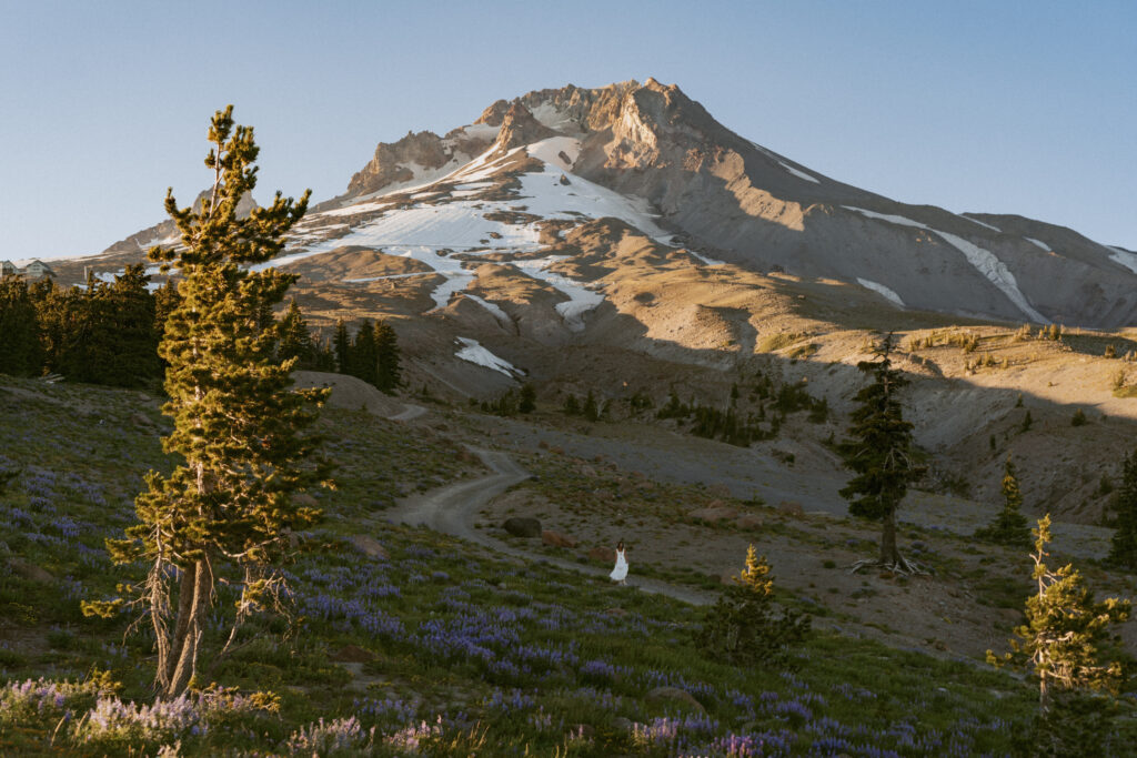 Epic Mount Hood landscape senior portrait showing snow-capped mountain peak with purple wildflower meadows and alpine scenery with senior in white dress