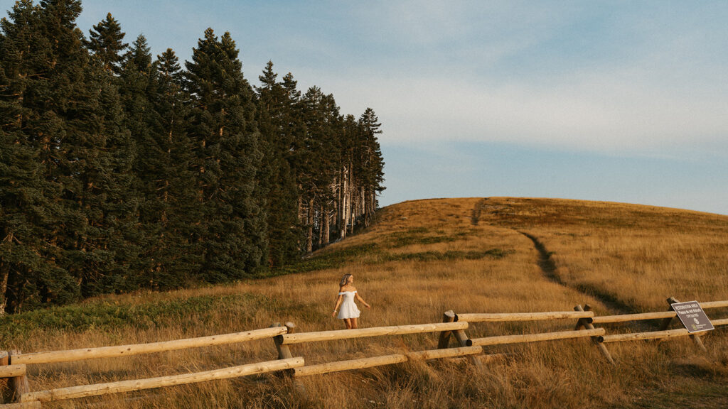 Portrait of a girl walking near a wooden fence in a meadow