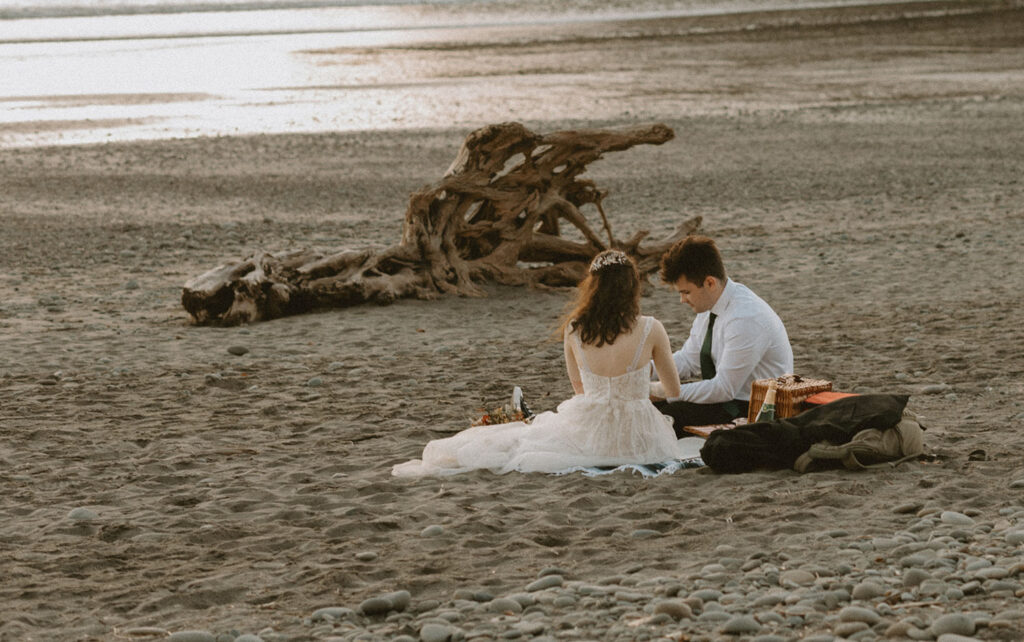 Bride and groom sitting on blanket with driftwood during beach elopement