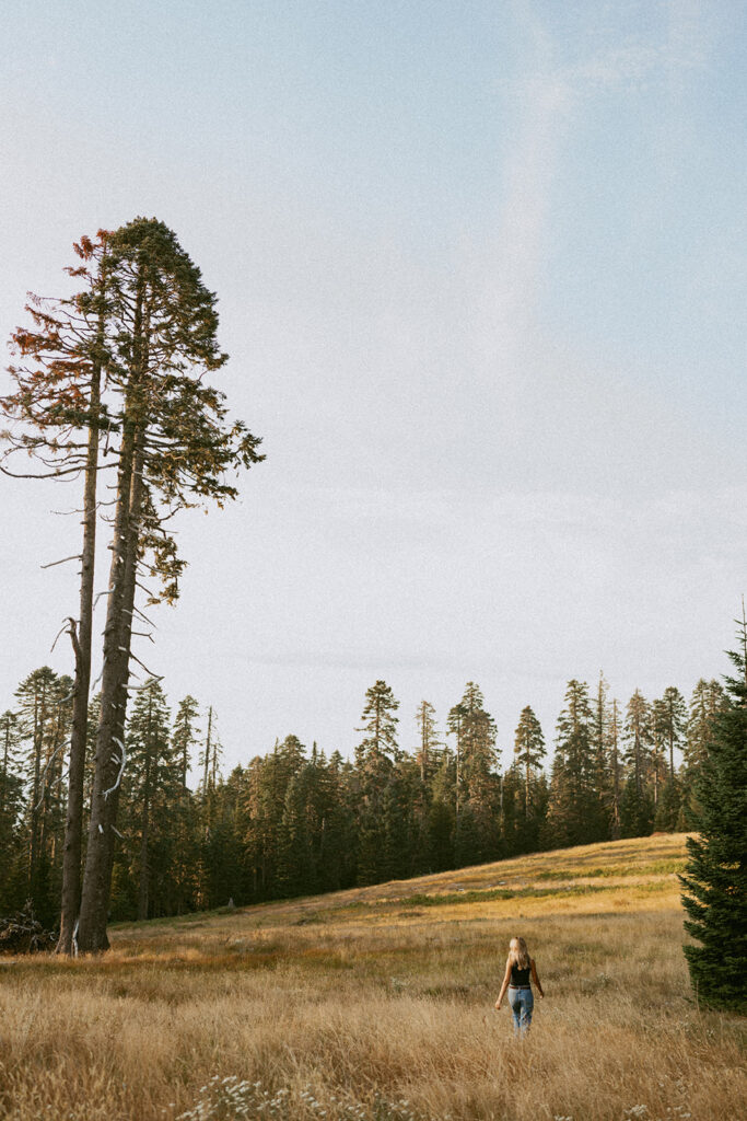 Gwyn walking towards the trees