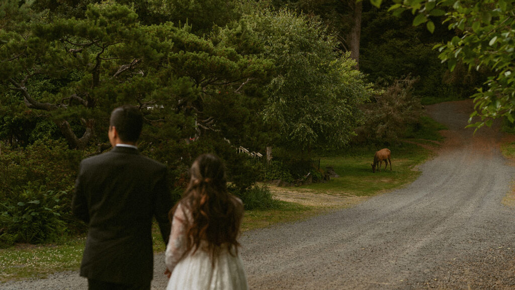 Couple spotting an elk off a gravel road