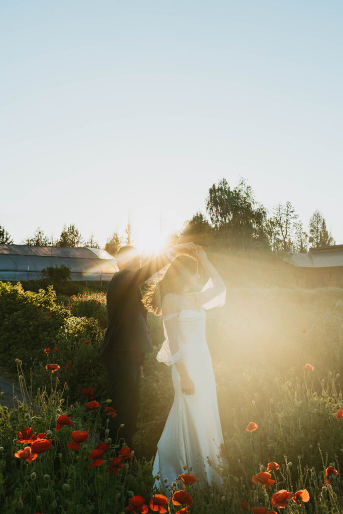 Bride and groom standing close together in a poppy field, backlit by the setting sun